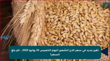 تغير جديد في سعر الأرز الشعير اليوم الخميس 24 يوليو 2025.. كم بلغ السعر؟